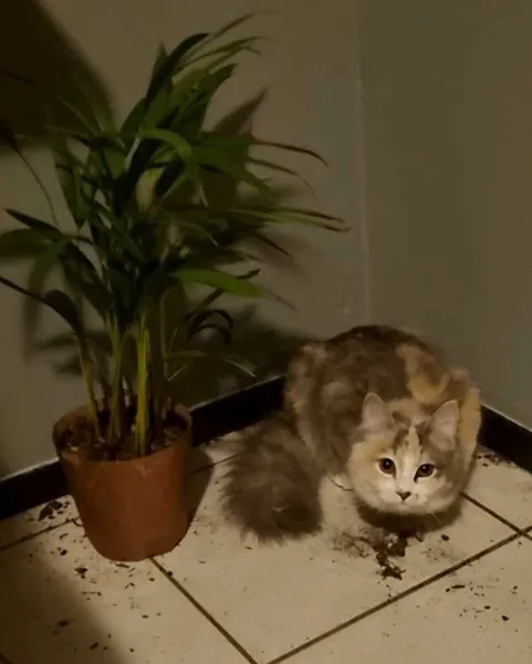 Wasn't me