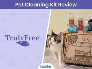 Truly Free Cleaning Products Review 2026: A Detailed Look