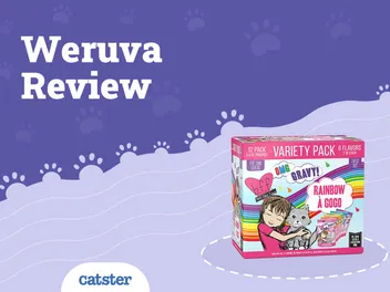 Weruva Cat Food Review 2026: Recalls, Pros & Cons