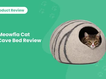 Meowfia Cat Cave Bed Review 2026: Pros, Cons & Verdict
