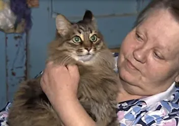 Heart-Warming News: A Cat in Russia Saves an Abandoned Baby