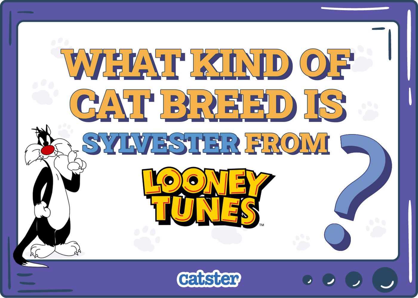 Catster_What Type of Cat is Sylvester from looney tunes