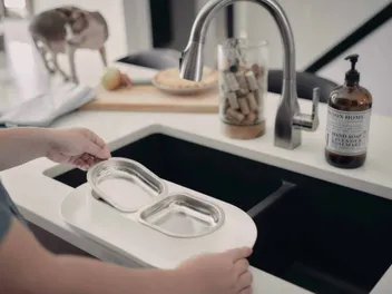 How to Clean a Cat Bowl: 8 Easy Steps & Vet-Reviewed Precautions