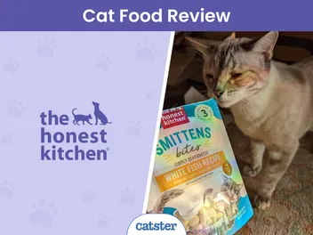 The Honest Kitchen Cat Food Review in 2026: Pros, Cons, Final Verdict