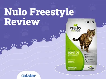 Nulo Cat Food Review of 2026: Recalls, Pros & Cons