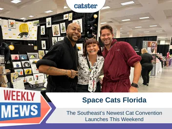 Space Cats Florida: The Southeast’s Newest Cat Convention Launches This Weekend