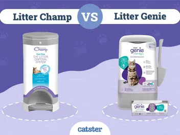 Litter Champ vs. Litter Genie: How Do They Compare? 2026 Comparison