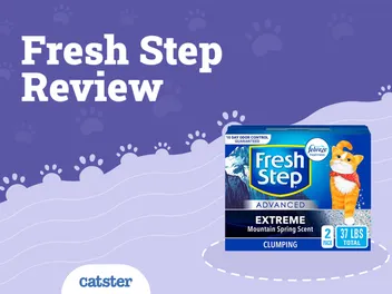 Fresh Step Cat Litter Review of 2026: Recalls, Pros & Cons