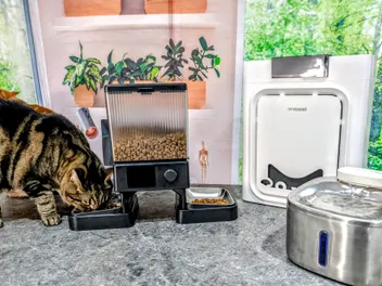 Oneisall Review 2026: Our Vet's Expert Opinion (Cat Water Fountain, Automatic Feeder & Air Purifier)