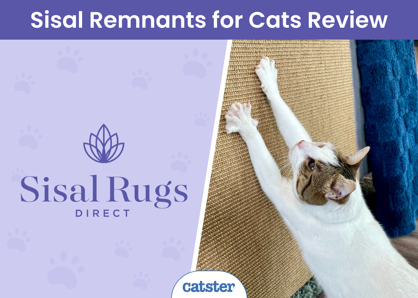 Sisal Rugs Direct Sisal Remnants for Cats Review - featured image