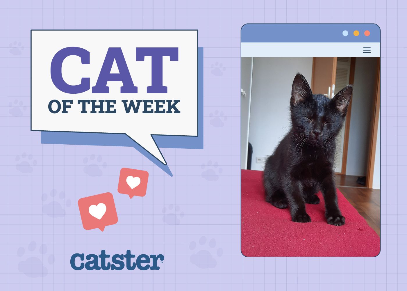 cst of the week march 13