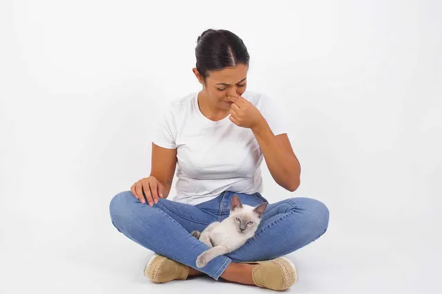 Why Does My Cat Smell Bad? 17 Vet-Reviewed Reasons & Solutions