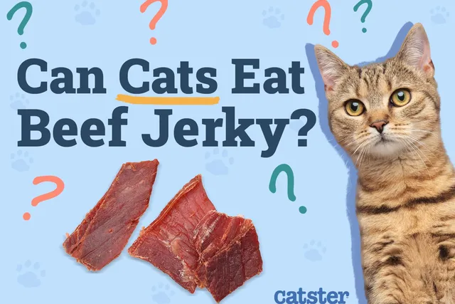 Can Cats Eat Beef Jerky? Vet-Approved Health and Nutrition Advice