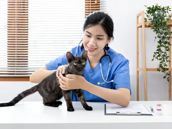 Veterinary Abbreviations & Acronyms: 10 Vet-Verified Common Terms Explained