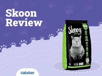 Skoon Cat Litter Review 2026: Recalls, Pros & Cons