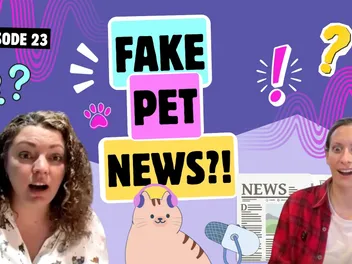 Chatting About Fake News in the Pet World, AI Again, and New Age Journalism | Chatty Cattys, Episode 23
