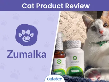 Zumalka Pet Supplement Review 2026: A Detailed Look