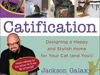 Catster Talks "Catification" with Style Guru Kate Benjamin