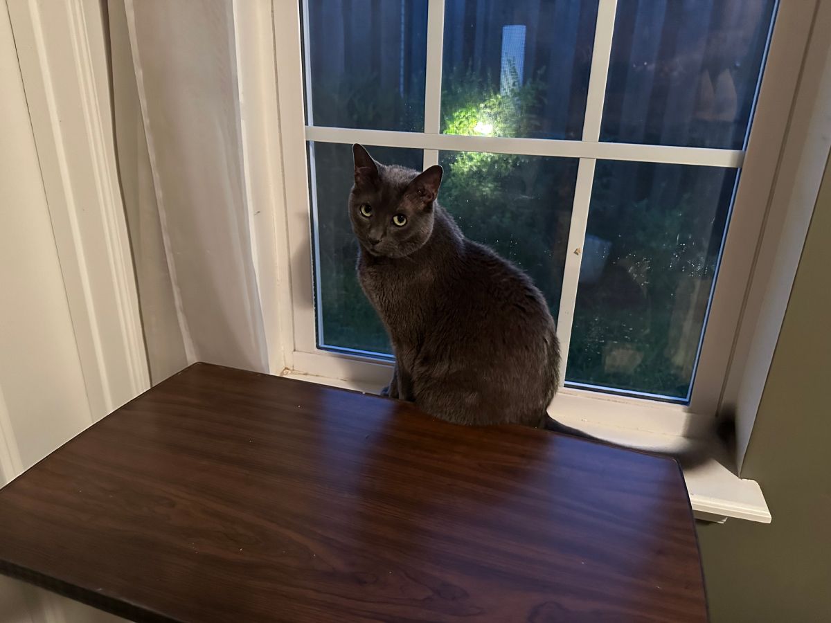 Christopher, please remove the solar light in the vertical garden. It's too bright!