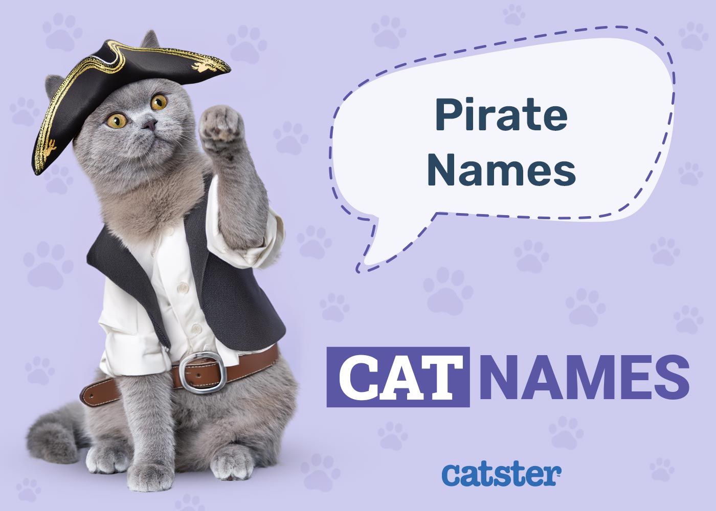 Pirate Cat Names