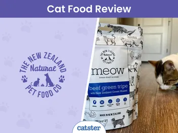 The New Zealand Natural Pet Food Co Brand Review 2026: A Detailed Look