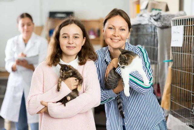 How to Find the Perfect Cat for Your Family: 8 Vet-Approved Tips & What to Look For