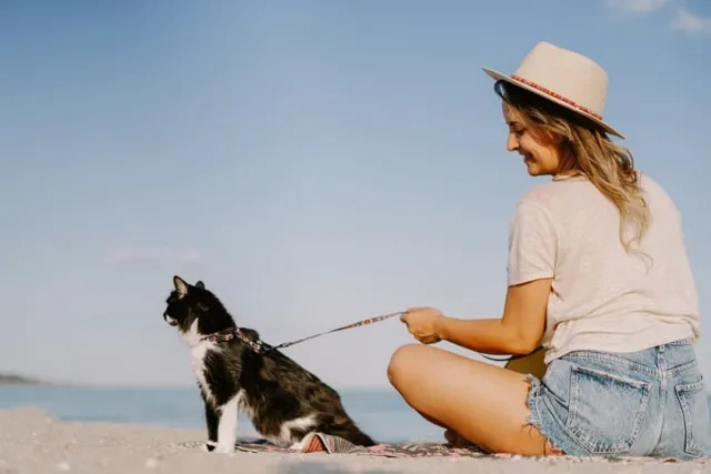 Can I Take My Cat to the Beach? 6 Vet-Reviewed Tips and FAQ
