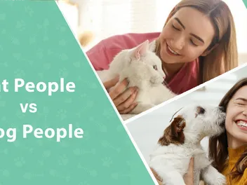 Cat People vs Dog People: Are They Really That Different?