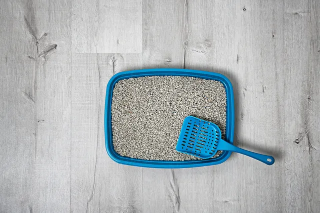 How Often to Clean a Litter Box: 3 Vet-Verified Signs to Watch For