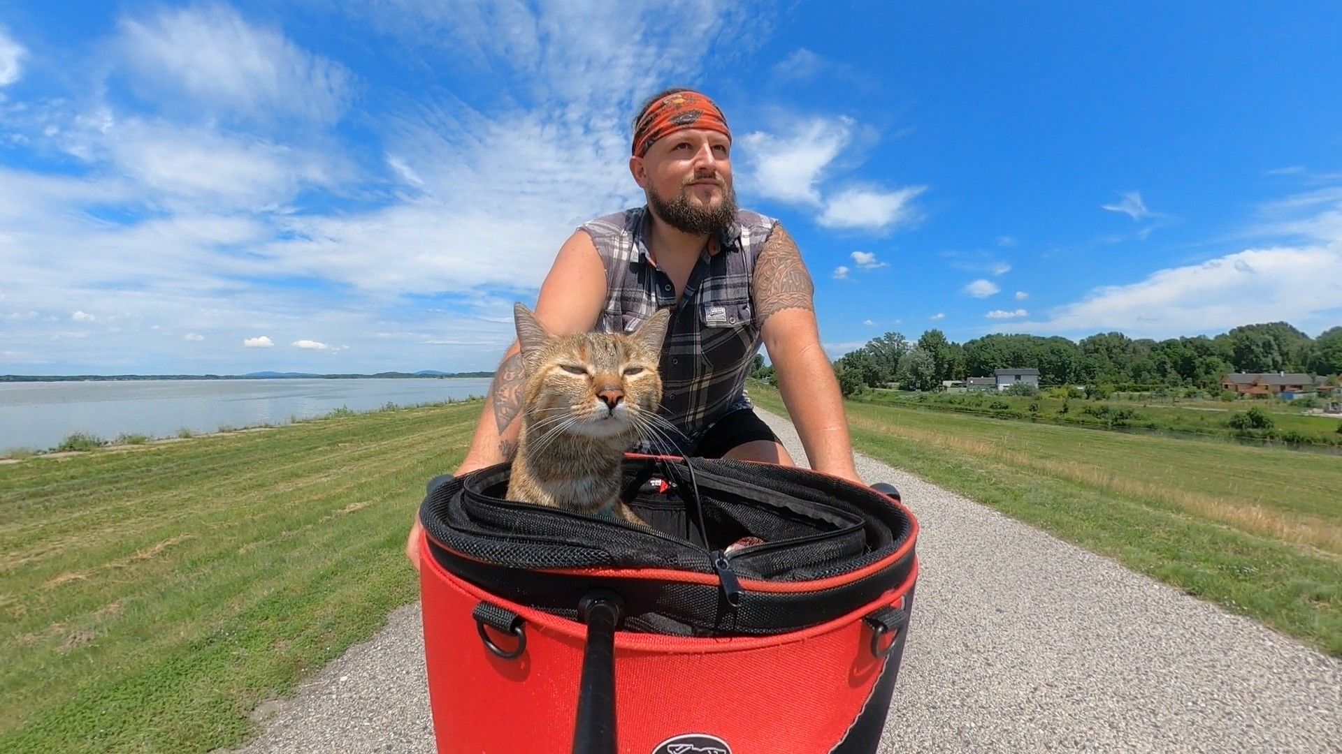 The Rescue Cat Who Cycled Around the World_ Dean & Nala’s Story 5