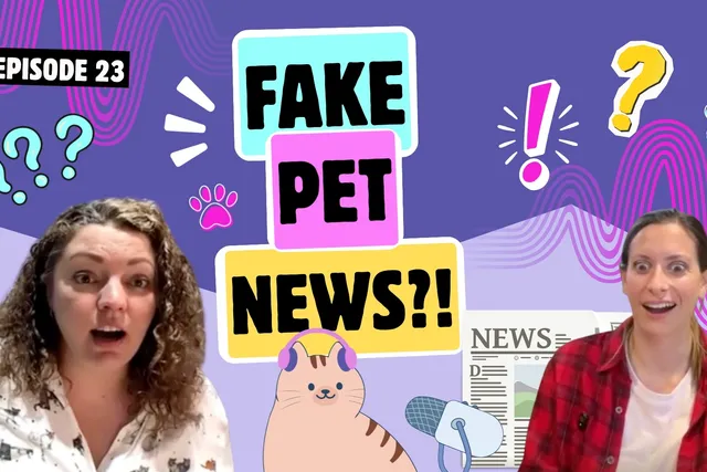 Chatting About Fake News in the Pet World, AI Again, and New Age Journalism | Chatty Cattys, Episode 23