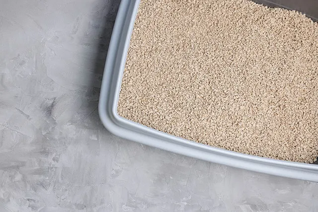 Can You Use Kitty Litter for Oil Spills? Alternative Uses, Tips & Tricks