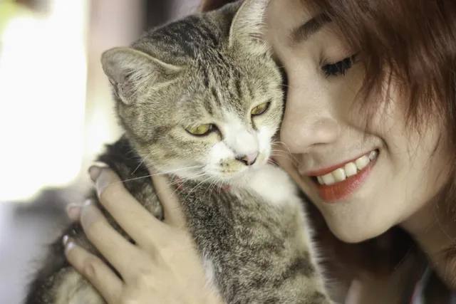 Can Cats Sense Bad Energy? Vet-Approved Science & FAQ
