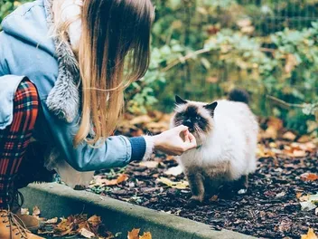 10 Best Probiotics for Cats in 2026 - Reviews & Top Picks