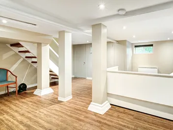 How to Get Rid of Cat Urine Smell in a Basement: 4 Simple Steps