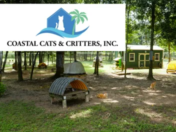 Welcome to Coastal Cats & Critters