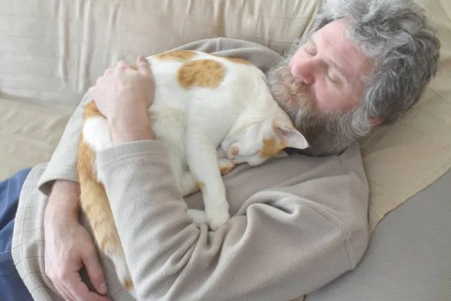 Why Is My Cat Annoying At Night When I'm Sleeping? Our Vet Reviews 5 Troublesome Habits/ Behaviors