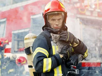 How to Prepare For a House Fire With Cats: 8 Vet-Approved Tips