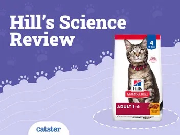 Hill’s Science Diet Cat Food Review in 2026: Recalls, Pros & Cons