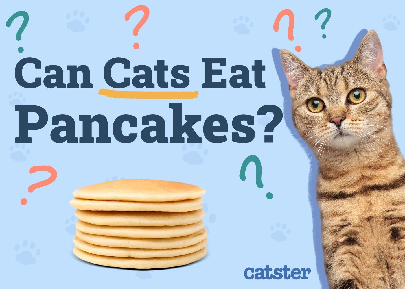 Can Cats Eat Pancakes