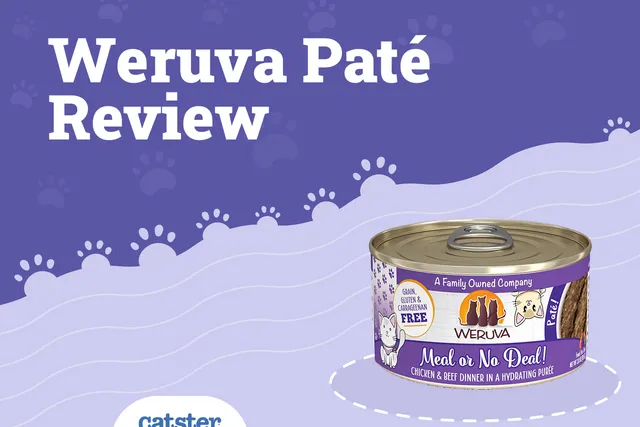 Weruva Patés Cat Food Review (2026 Update)