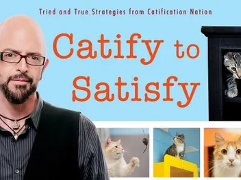 Jackson Galaxy Offers Home Improvements That Also Improve Your Cat's Life