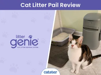 Litter Genie Easy Roll Pail Review 2026: A Detailed Look