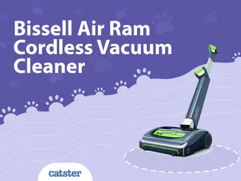 Bissell Air Ram Cordless Vacuum Cleaner: 2026 Review
