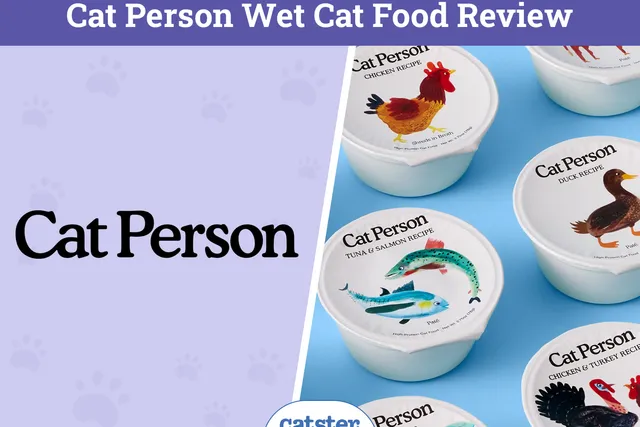 Cat Person Wet Cat Food Review 2026: Our Expert’s Opinion