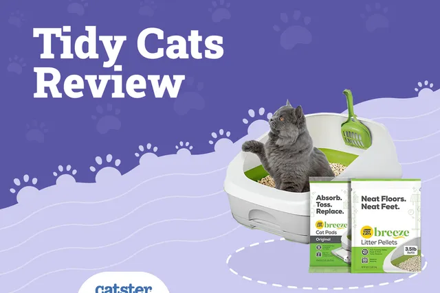 Tidy Cats Breeze Cat Litter System Review: Recalls, Pros & Cons