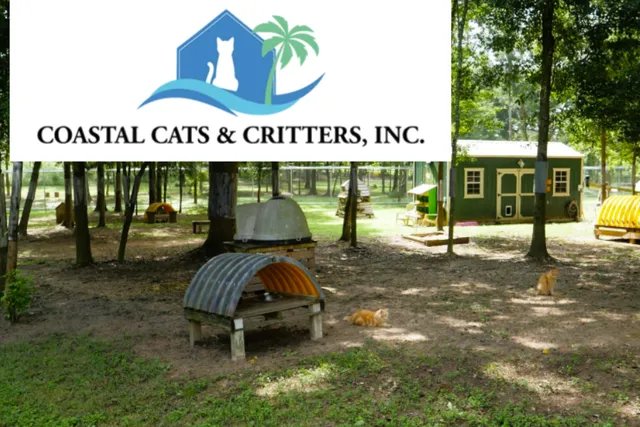 Welcome to Coastal Cats & Critters