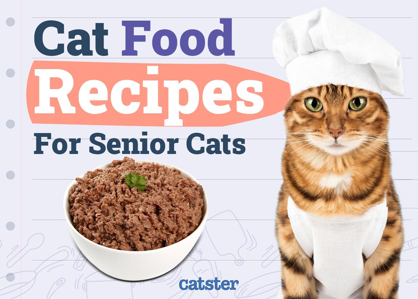 Homemade Cat Food Recipes for Senior Cats