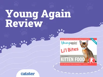 Young Again Cat Food Review of 2026: Recalls, Pros, & Cons