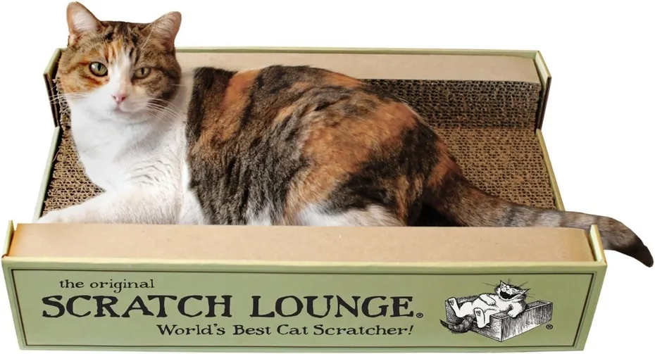 Scratch Lounge Cardboard Cat Scratcher &amp; Lounger